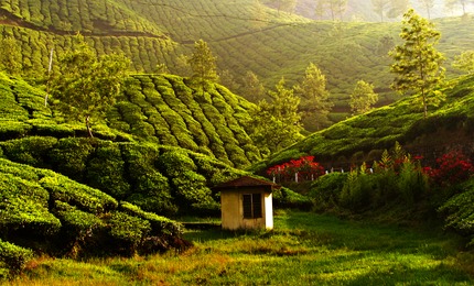 Kerala holiday tours