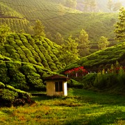 Vagamon